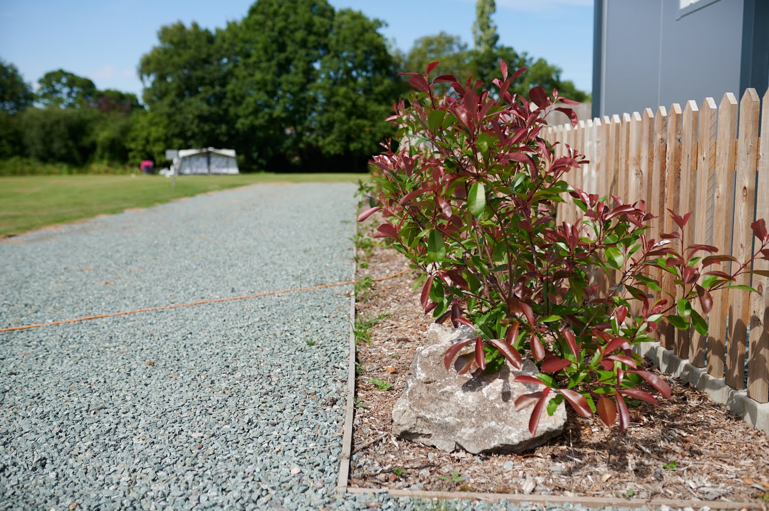 Sam - The Homestead_DSC_0834