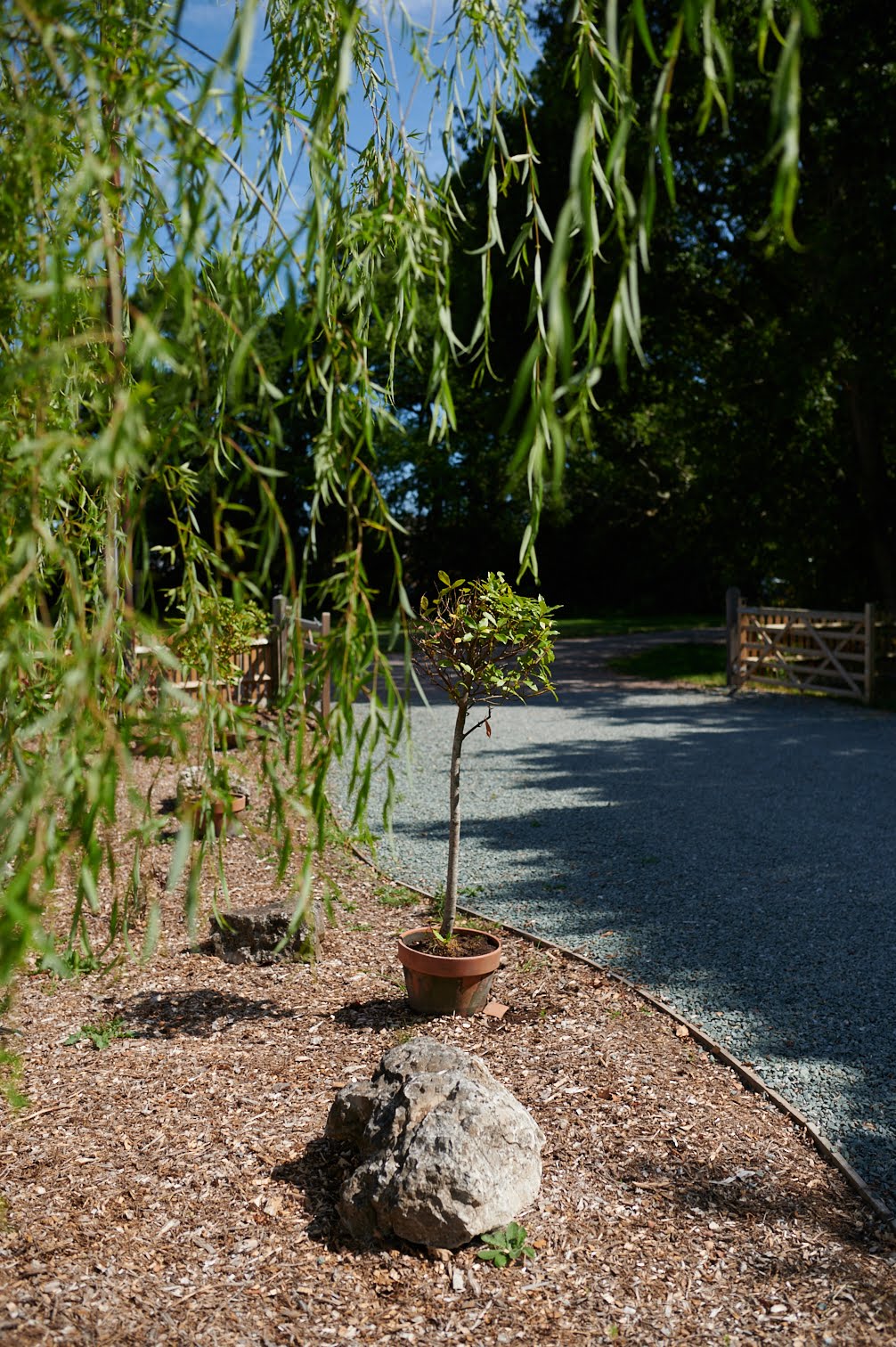 Sam - The Homestead_DSC_0849