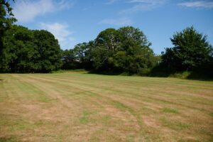 Sam - The Homestead_DSC_0858